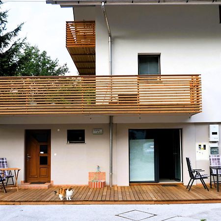 Studio Marjetica Zgornje Gorje 外观 照片